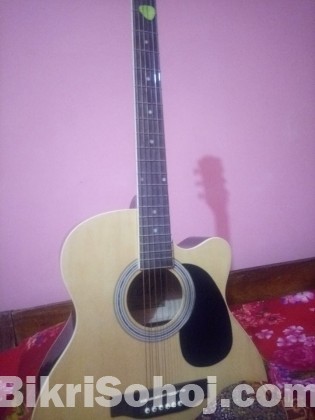 Acoustic Guitar